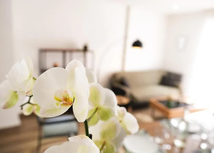 Le Grand Chambord Laval (Mayenne)